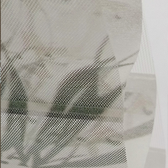 PT203-316101.jpg