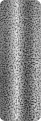 PT202-1962805.jpg