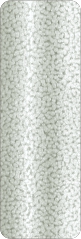 PT202-1962808.jpg