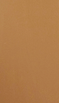 PT214-456109.jpg